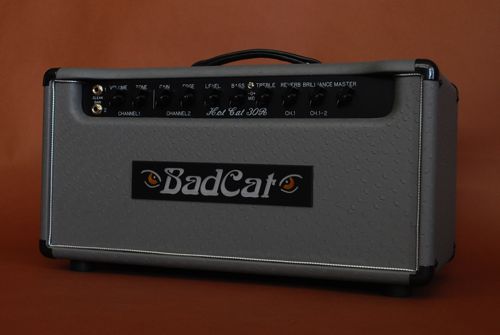 BAD CAT AMPS （バッドキャット）