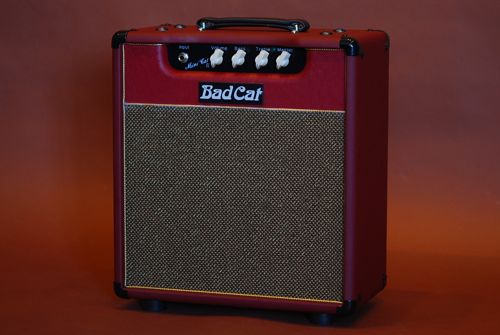 BAD CAT AMPS （バッドキャット）